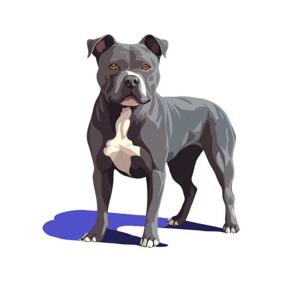 TELL ME MORE T -BAG DU BOSQUET AUX LOUPS