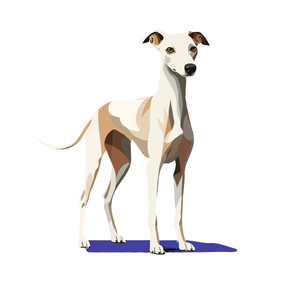 SECRET D HISTOIRE DES PLAINES DES BRUYERES