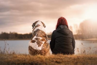 Blog Whoof : chien et humain vus de dos, assis côte à côte devant un lac