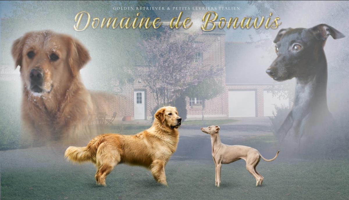 Du Domaine de Bonavis
