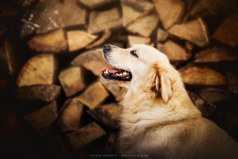 SEPHORA DU DOMAINE D'ALEXAN