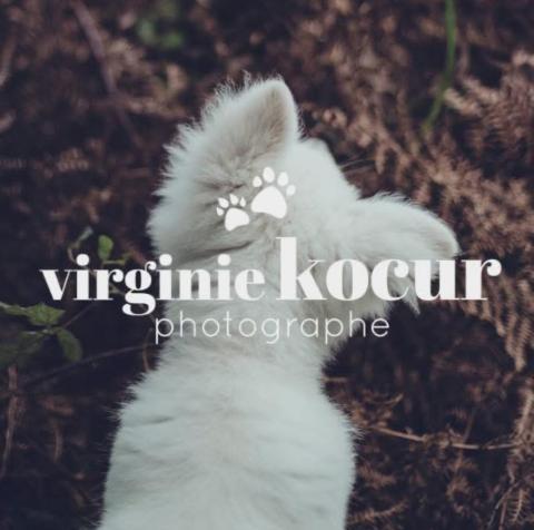 logo de Virginie Kocur, partenaire de Whoof