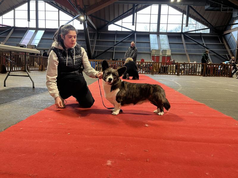 TAO DES MINIS PATTES DU PUITS