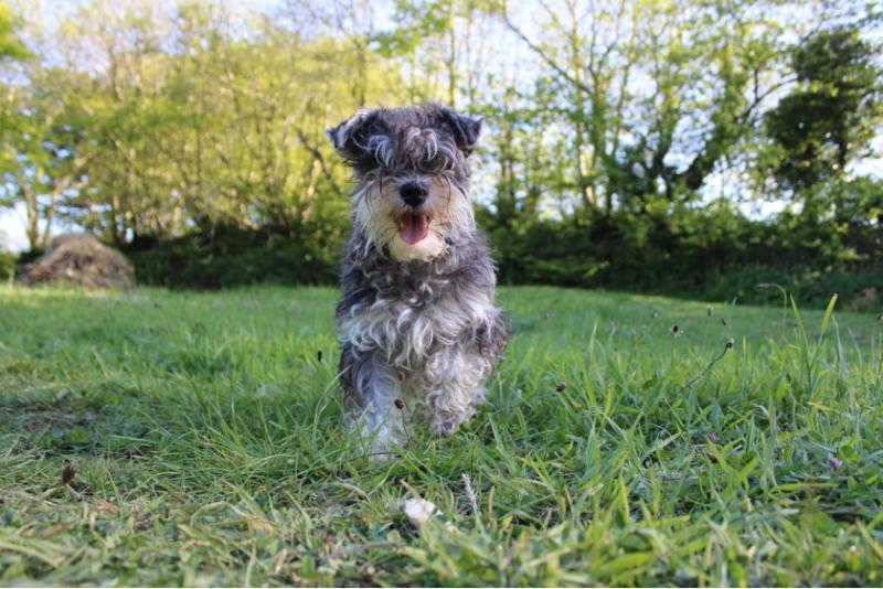 RYTHM OF HOPE DU GELETAN