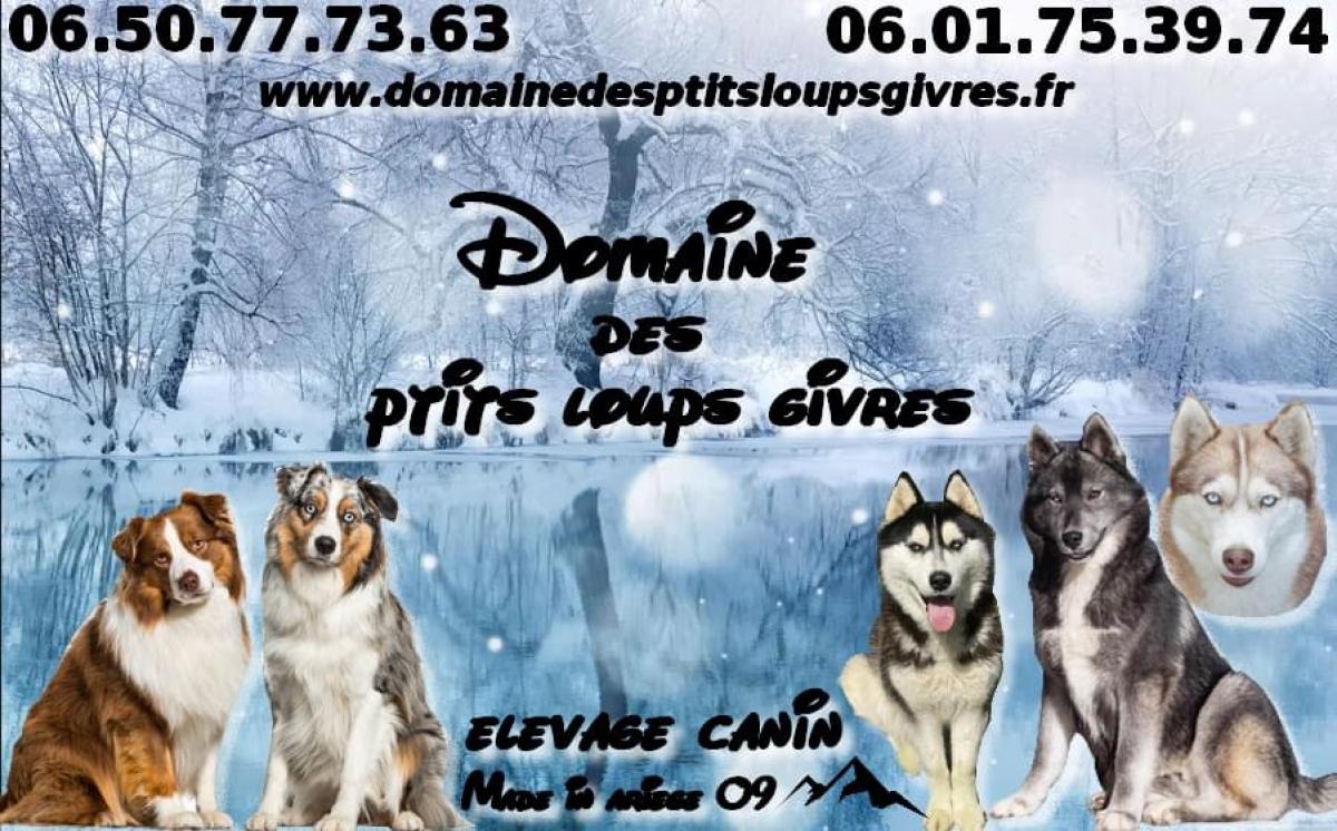 Domaine des ptits loups givrés