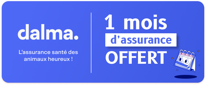 offre dalma Whoof