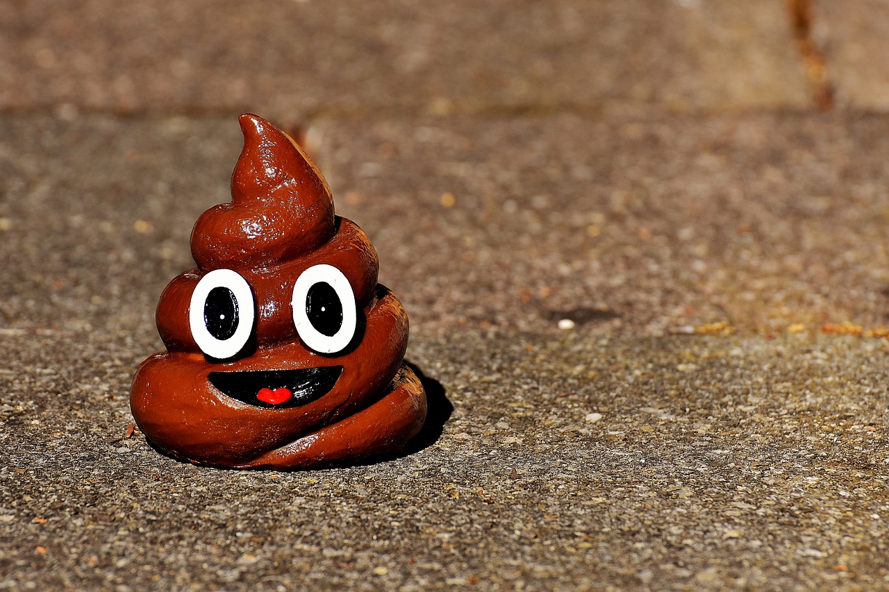 caca de chiot avec un smiley