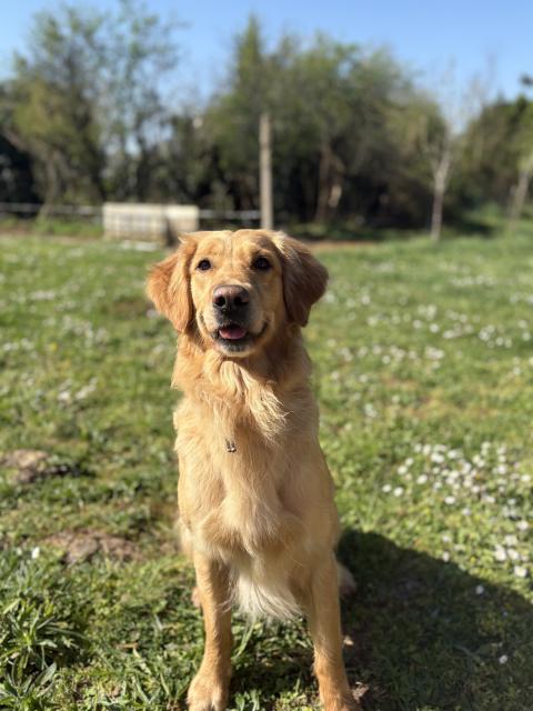 SUNSHINE
