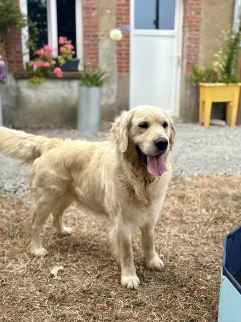 SANKA DE LA GABRIERE