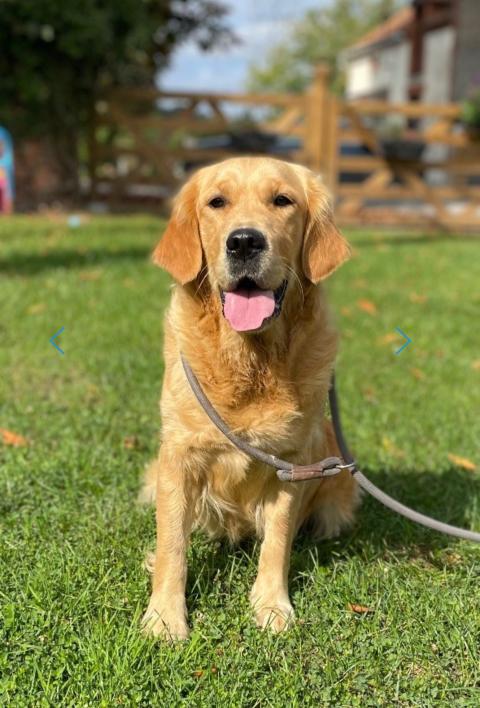 TUMBA DE LA GABRIERE