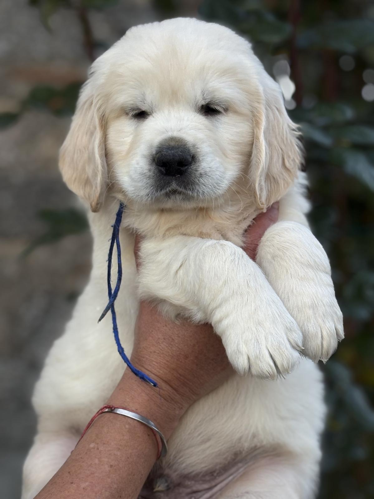 Mon gros clown rigolo