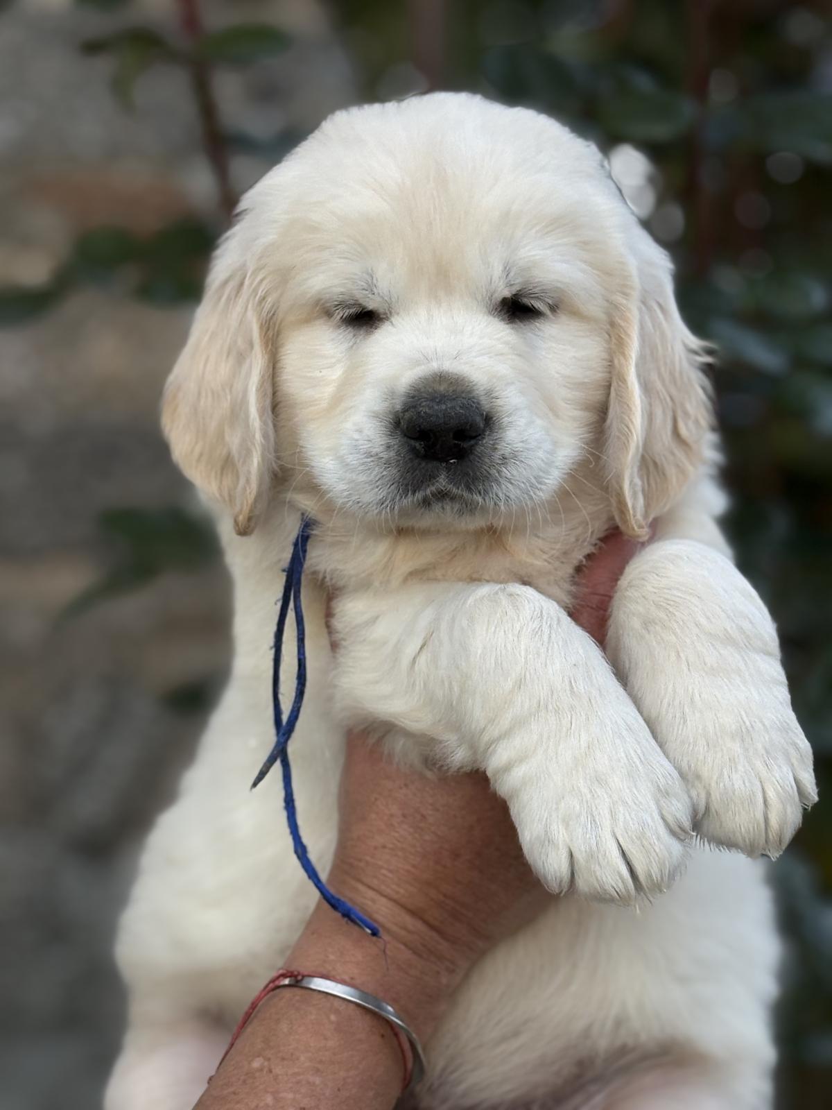 Mon gros clown rigolo