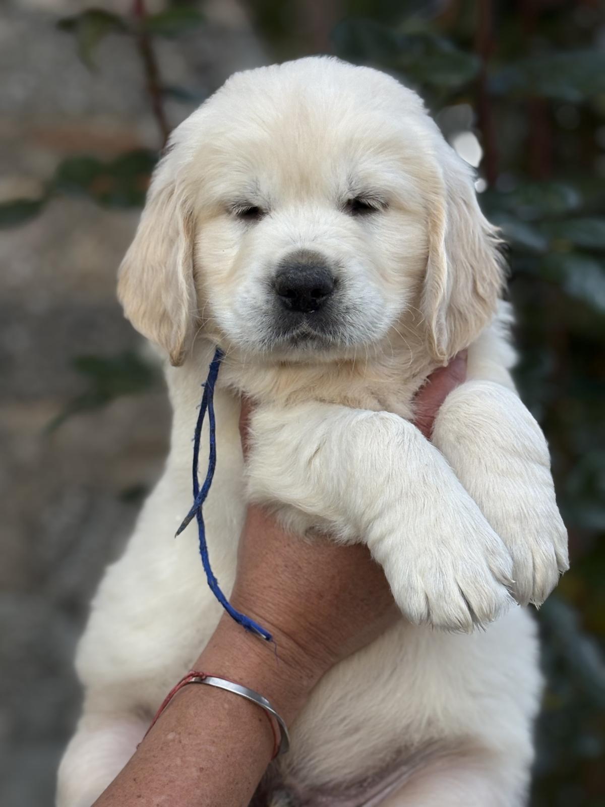 Mon gros clown rigolo