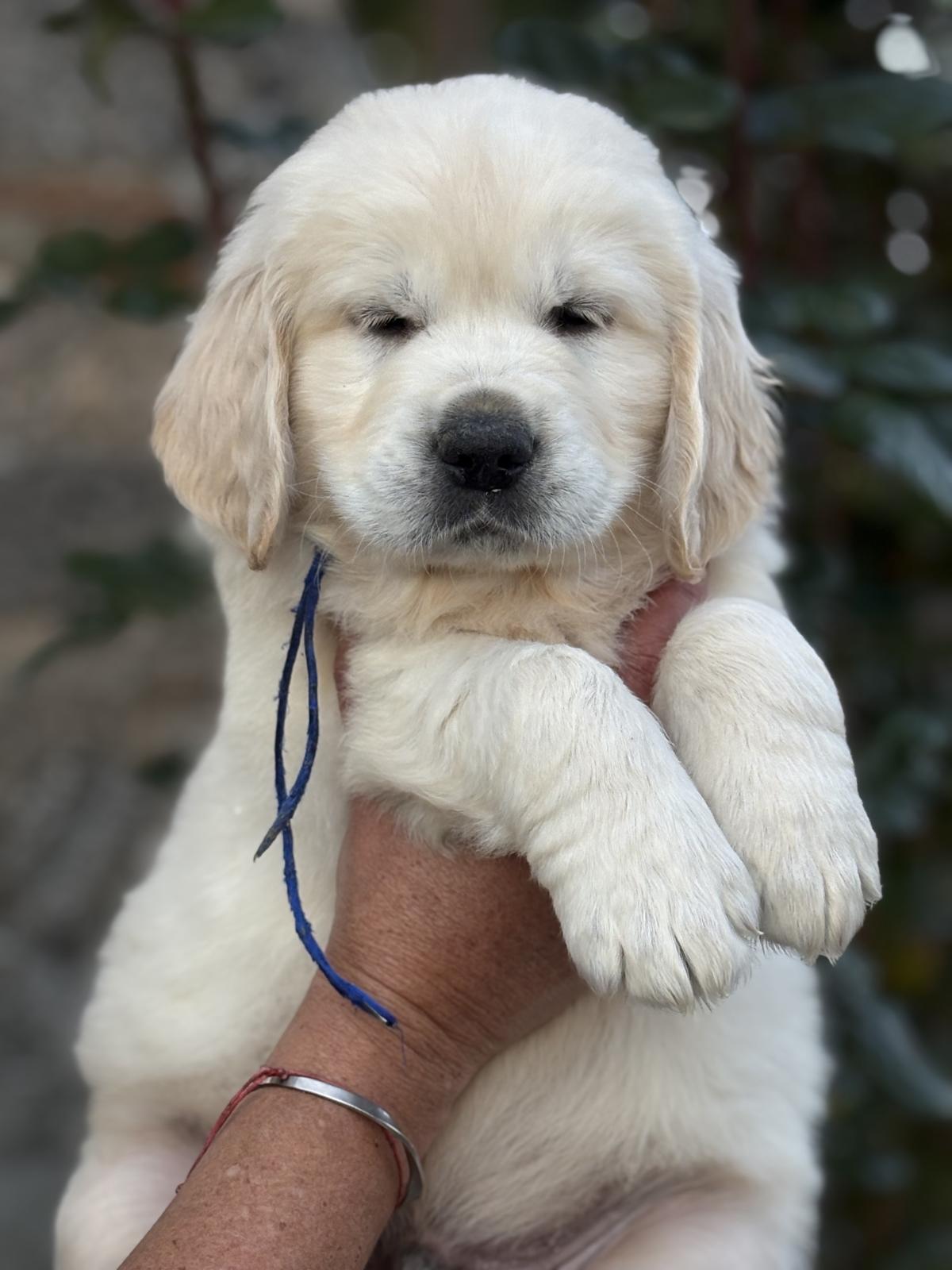 Mon gros clown rigolo