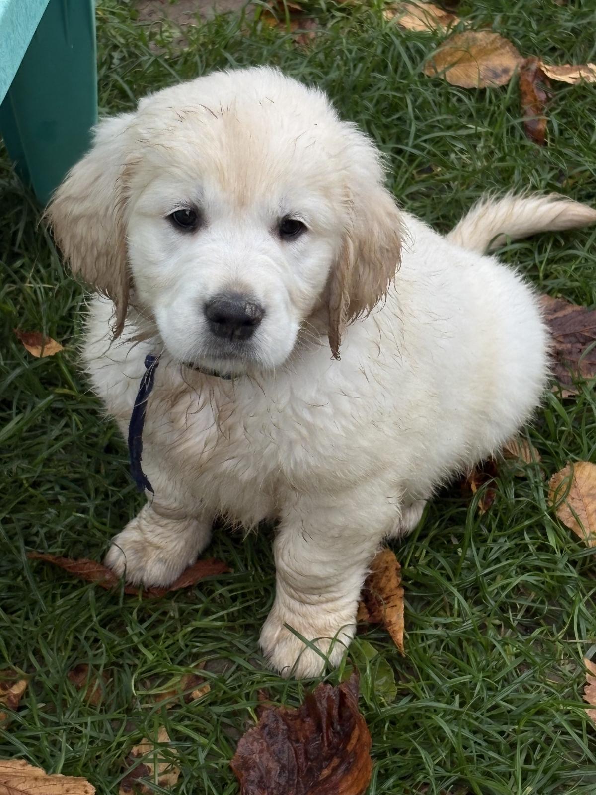 Mon gros clown rigolo