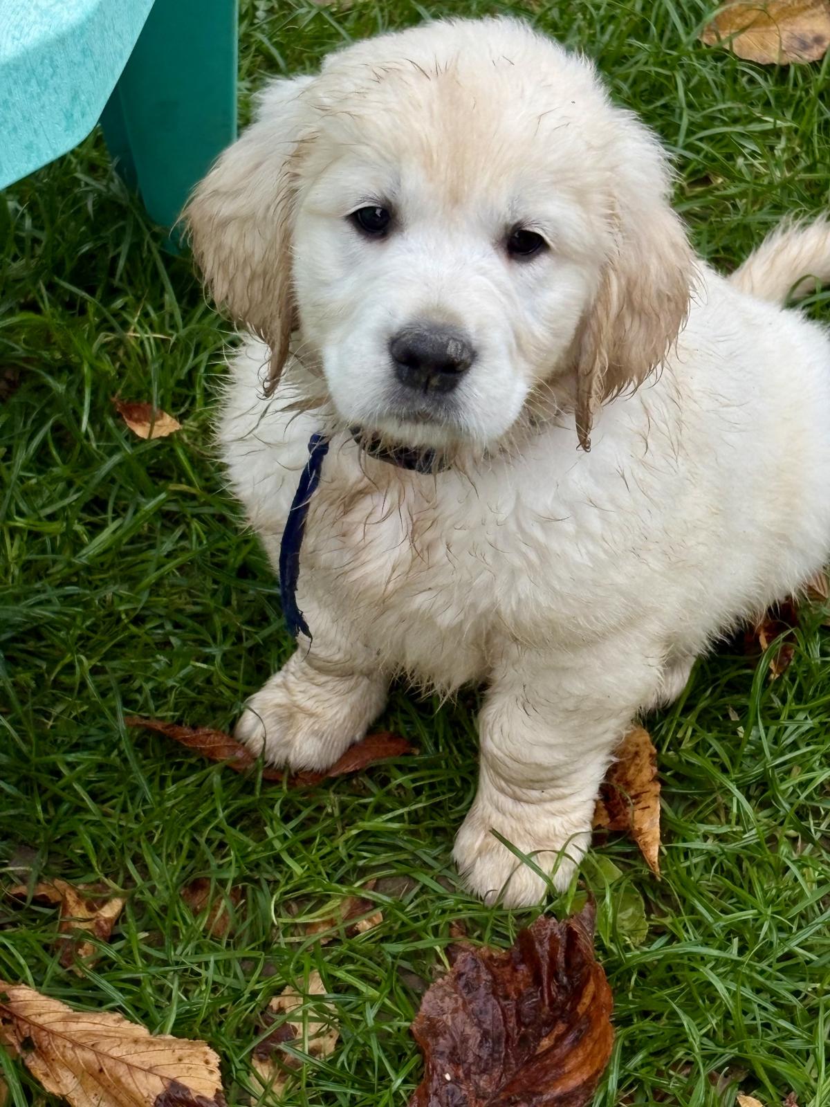 Mon gros clown rigolo