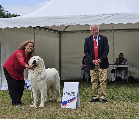 SIADOUX DE LA VALLEE DU GIROU