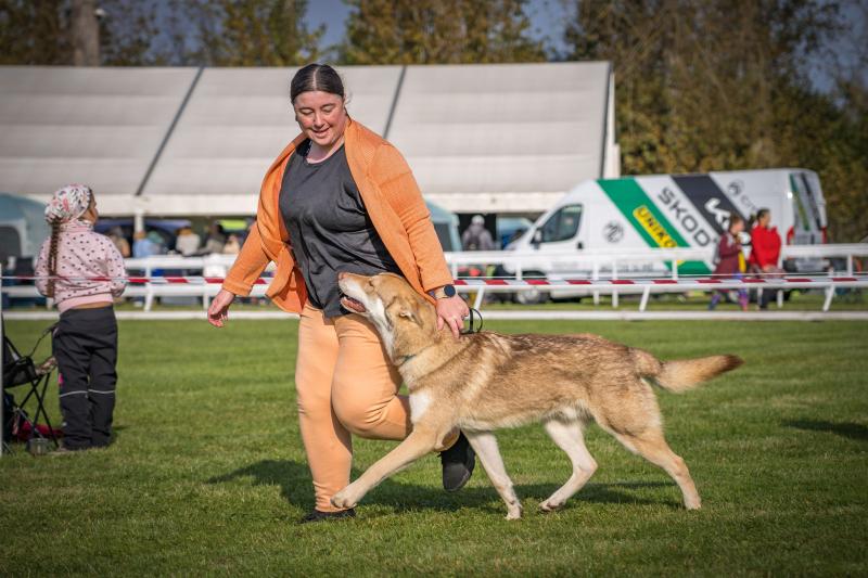 UTGARD'S FORTRESS SKYRMIR DES TERRES DU VALHALLA
