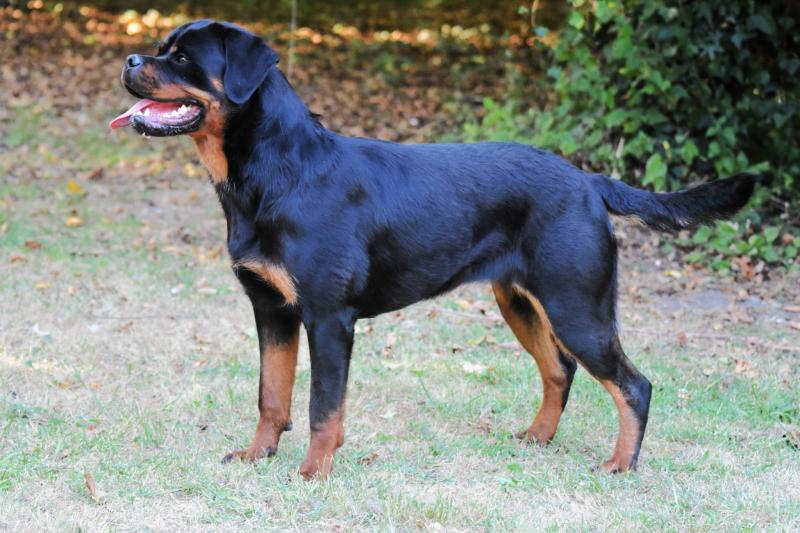 UMPALUMPA VOM OWANE'S PARADISE