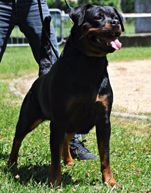 J'KALA VOM HAUSE FRANCES