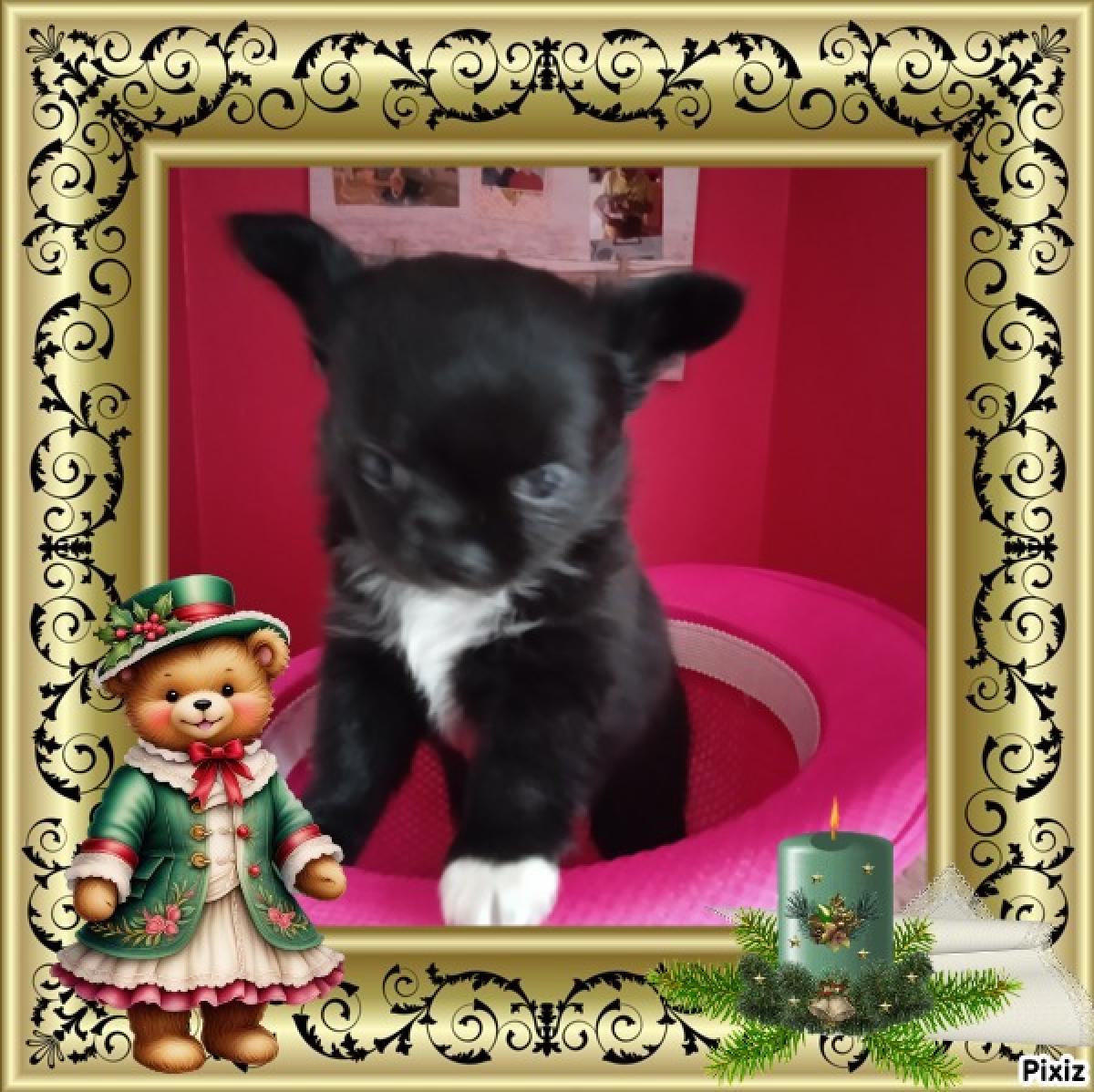 du royaume de casabelle