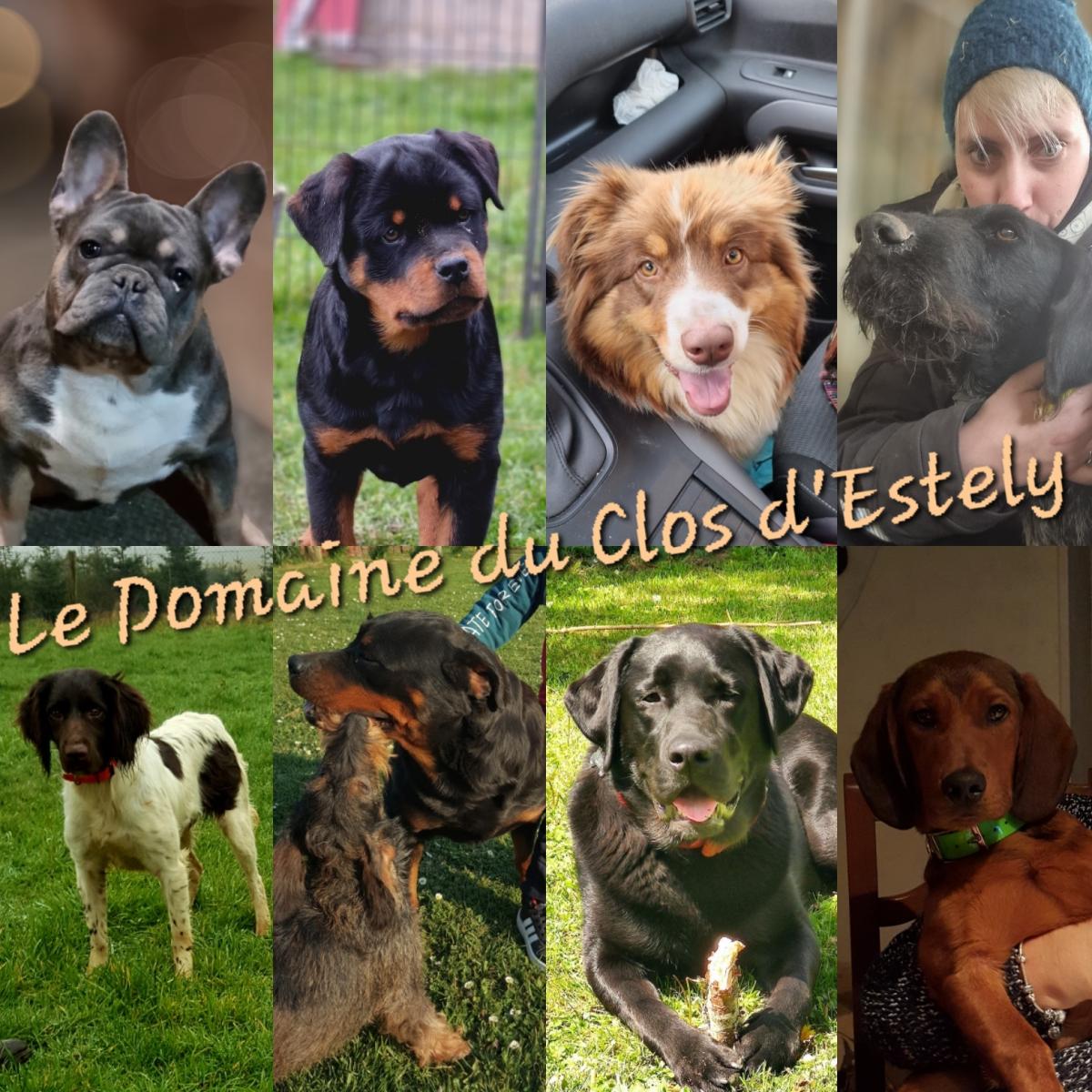 Le Domaine du Clos d'Estely