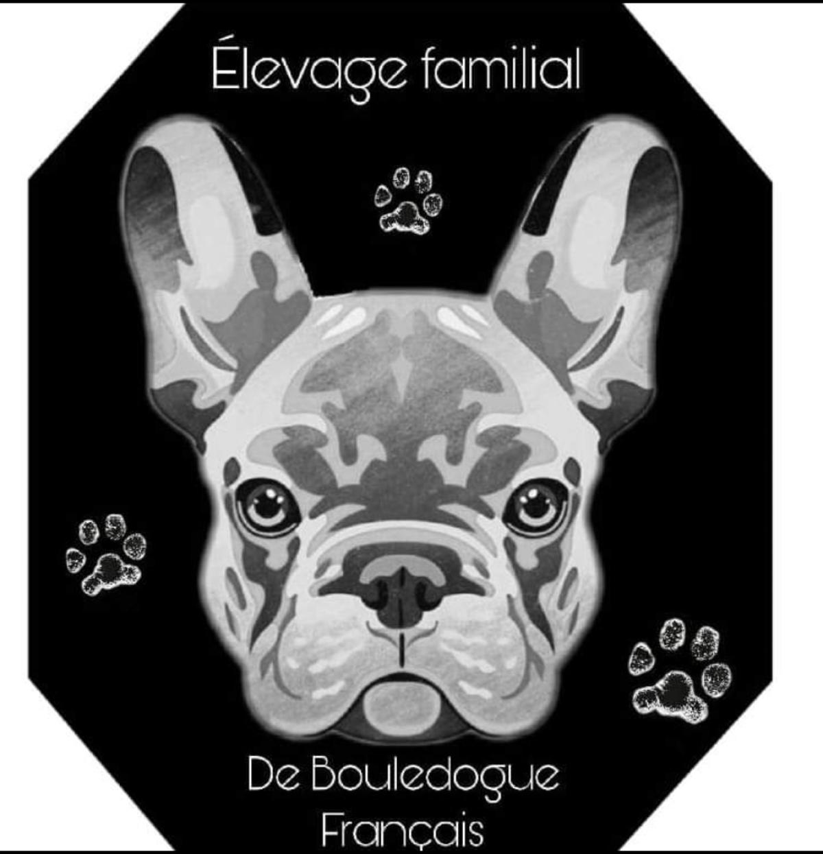 Élevage de bouledogues français