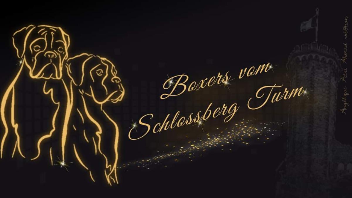 VOM SCHLOSSBERG TURM