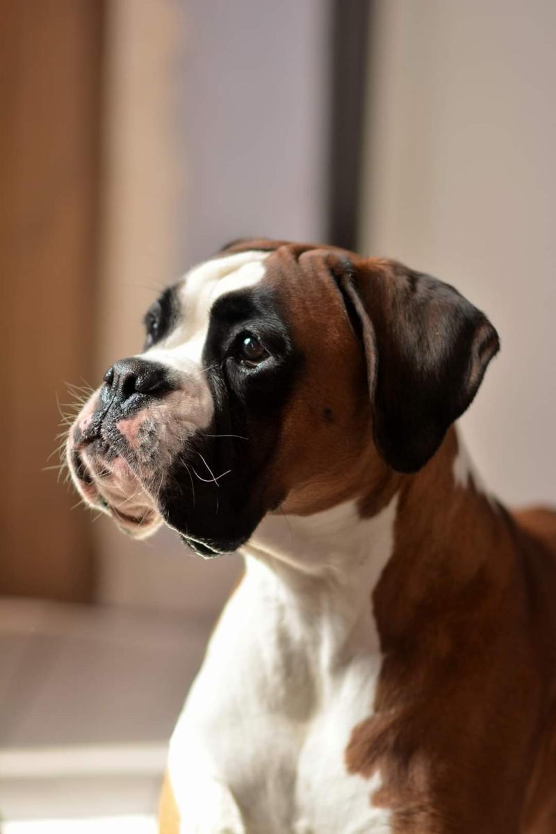 PHANTASIA VOM SCHLOSSBERG TURM