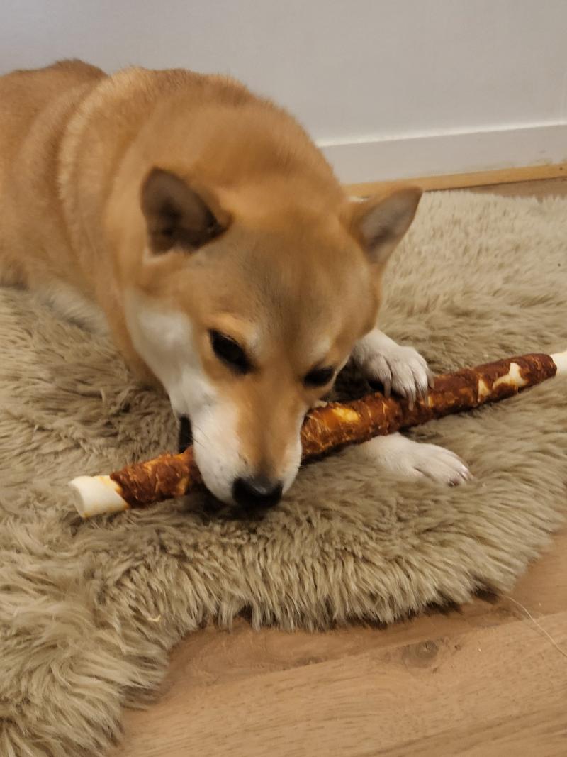 PRAIA DES LOUPS DE LA GORGERE