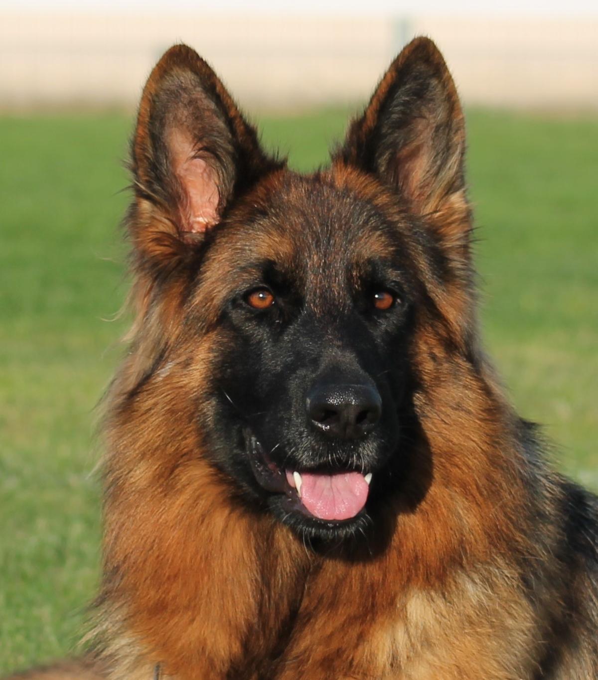 elevage des crets de charmont